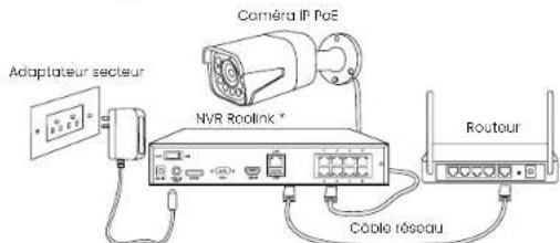REOLINK P430 - Diagramme de connexion - 1