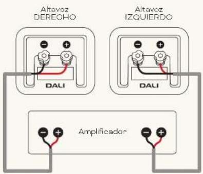 Dali Kupid - CONEXIONES - 1