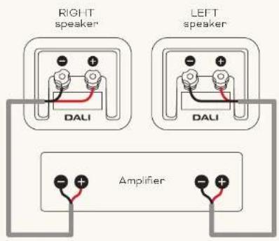 Dali Kupid - CONNECTIONS - 1
