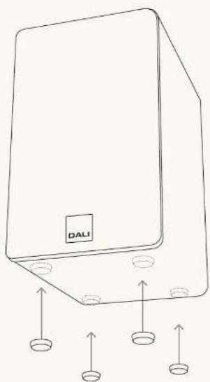 Dali Kupid - 設置 - 2