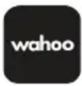 Wahoo KICKR Bike Pro - 금및금제드 - 2