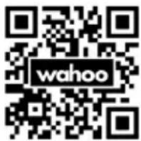 Wahoo KICKR Bike Pro - CE VERKLARING - 1