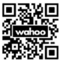 Wahoo KICKR Bike Pro - CE DECLARAÇÃO - 1