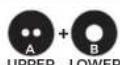 BBB RollerBoys 11T BDP-05 - BBB DERAILLEUR PULLEY /BPD-05 - 19
