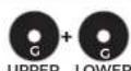 BBB RollerBoys 11T BDP-05 - BBB DERAILLEUR PULLEY /BPD-05 - 18