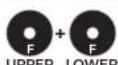 BBB RollerBoys 11T BDP-05 - BBB DERAILLEUR PULLEY /BPD-05 - 17