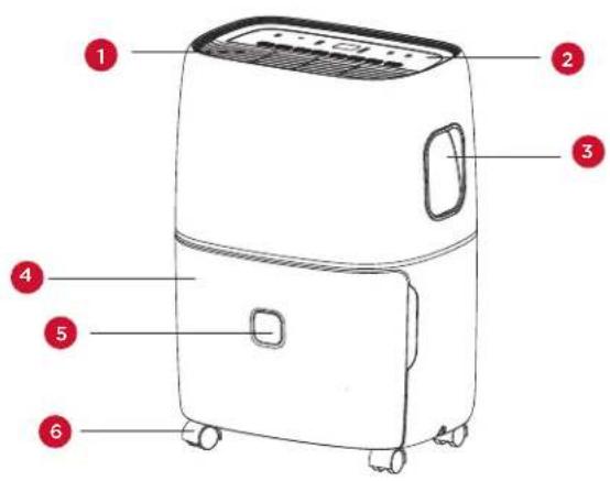 TCL W50D9P1 - HELP - 6