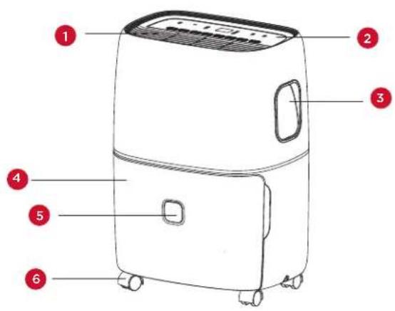TCL W50D9P1 - Qué hay en la caja - 4