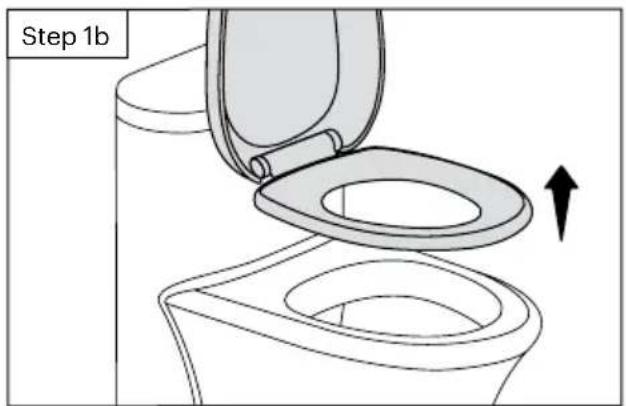 Brondell FreshSpa Thinline FSA-15 - Existing toilet seat removal - 1