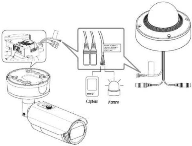Hanwha Vision PND-A9081RV - Connexion au boîtier du port e/s - 1
