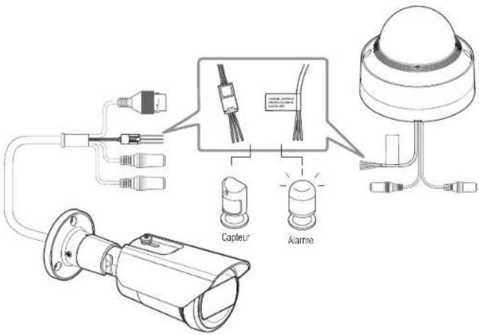 Hanwha Vision QNO-C8013R - Connexion au boîtier du port E/S - 1