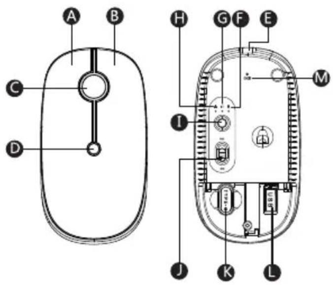 Essentiel B M-11-SF - 1