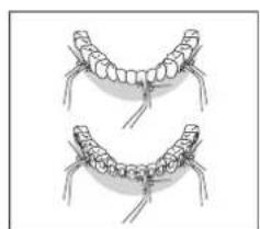 Essentiel B Pulse Confort EJD2 - Conseils d'utilisation - 3
