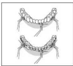 Essentiel B Pulse Confort EJD2 - tips for use - 3