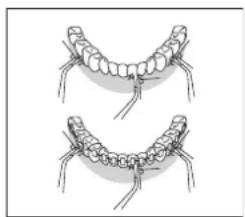 Essentiel B Pulse Confort EJD2 - gebruikstips - 3