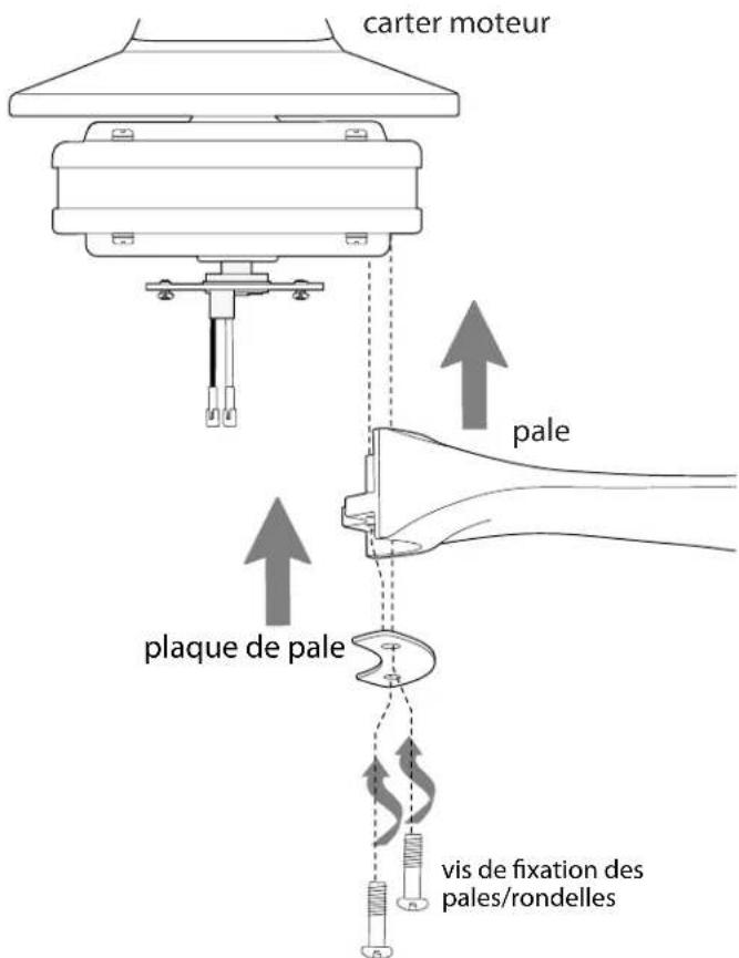 Craftmade EVY60 - Fixation des pales. - 1