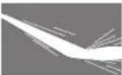 DEWALT DWPW61147 - Spray Wand Nozzles (Fig. A, G) - 4