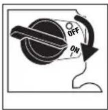 DEWALT DWPW61147 - Verify the Engine Switch is turned to the ON Position - 1