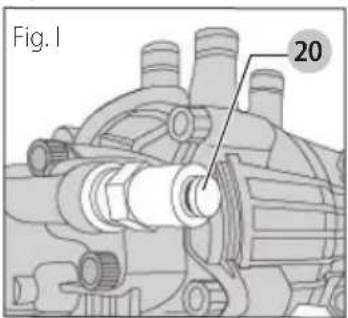 Fig. I 20