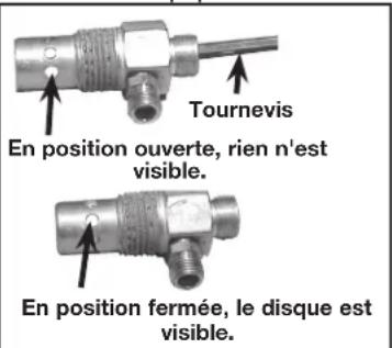 DEWALT DXCM303 - Remplacement ou nettoyage de la soupape de retenue - 1