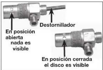 DEWALT DXCM303 - Para reemplazar o limiar la valvula de retencion - 1