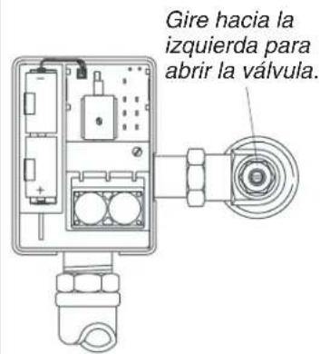 KOHLER K-13686 - 2.Instaleelsoportedepilasylacubiertadellente - 1