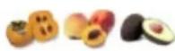 KUVINGS REVO830 - DO NOT put the following ingredients into the juicer: - 1