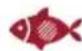 Berkel Home Line Plus 250 - Inhaltsverzeichnis - 5