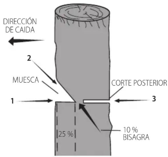 DEWALT DCCS673 - Muesca convencional - 1