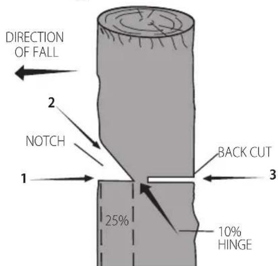 DEWALT DCCS673 - Conventional Notch - 1