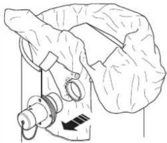 NILFISK VHC010 - Warranty - 8