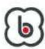 BabyGO Nova+ 360 - POSITION VERS L'AVANT + ISOFIX + HARNAIS À 5 POINTS - 1