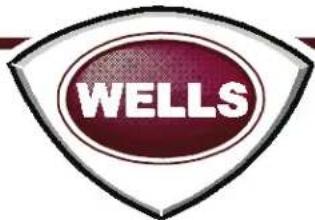 Wells WG2424G - CUSTOMER SERVICE DATA - 1