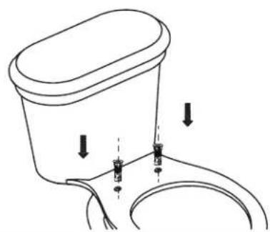 American Standard Aquawash 8043A60G.020 - 1 - 2