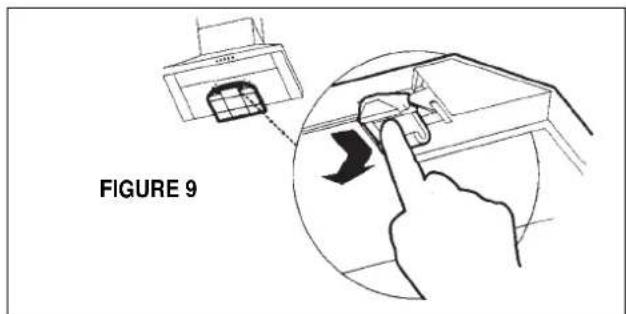 FIGURE 9
