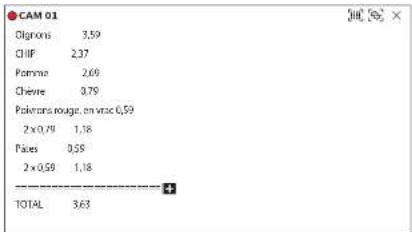 Hanwha Vision PRN-1605B2 - Affichage du texte - 2