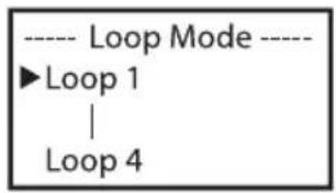 Cameo Root PAR IP - STAND-ALONE-BETRIEBSART LOOP - 3