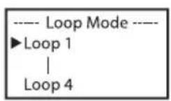 Cameo Root Battery - MODALITA OPERativa STAND-ALONE: LOOP - 3