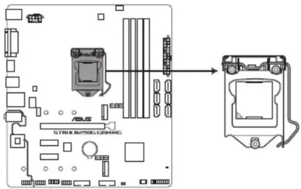 ASUS ROG Strix B250G Gaming - Processeur - 1