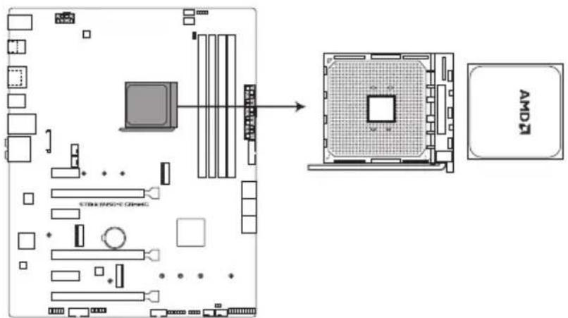 ASUS ROG Strix B450-E Gaming - Processeur - 1