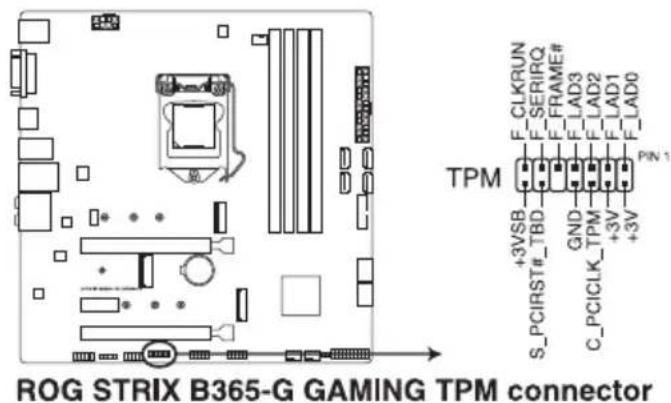 ASUS ROG Strix B365-G Gaming - Connecteur TPM - 1