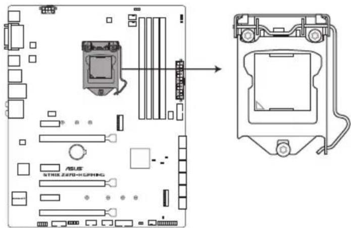 ASUS STRIK ZERO-HOPPING
