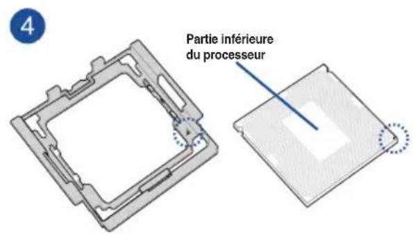 Partie inférieure du processeur