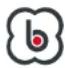 BabyGO Levels - LEES DEZE INSTRUCTIEHANDLEIDING ALSTUBLIEFT ZORGVULDIG EN BEWAAR HEM VOOR TOEKOMSTIG GEBRUIK. - 5