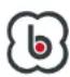 BabyGO Freemove iSize - LISEZ ATTENTIVEMENT ET LISEZ SOIGNEUSEMENT ET CONSERVEZ CES INST- RUCTIONS POUR RÉFÉRENCE ULTÉRIEURE - 1