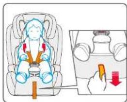 BabyGO Freemove iSize - SERRER LE HARNAIS - 1