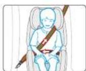 BabyGO Freemove iSize - ADULT SAFETY-BELT ONLY - 4