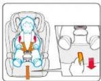 BabyGO Freemove iSize - babyGO - 2