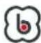 BabyGO Bursa 4 - SICHERHEITSHINWEISE BEIM TRAGEN DES GURTS - 4