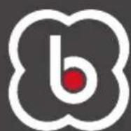 BabyGO Safechild2 - SAFECHILD 2 - 2